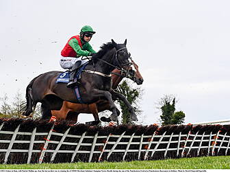 Echoes In Rain lands Novice Hu...